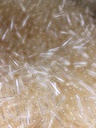 [GCE-1] Gelulen clear 1 emmer per 10.000 stuks